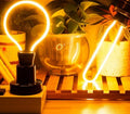 Jax - Classic Vintage LED Light Bulb